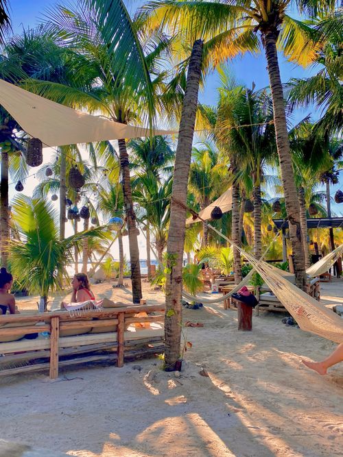 Free Sunlit tropical beach scene with palm trees and hammocks, ideal for a peaceful vacation setting. Stock Photo