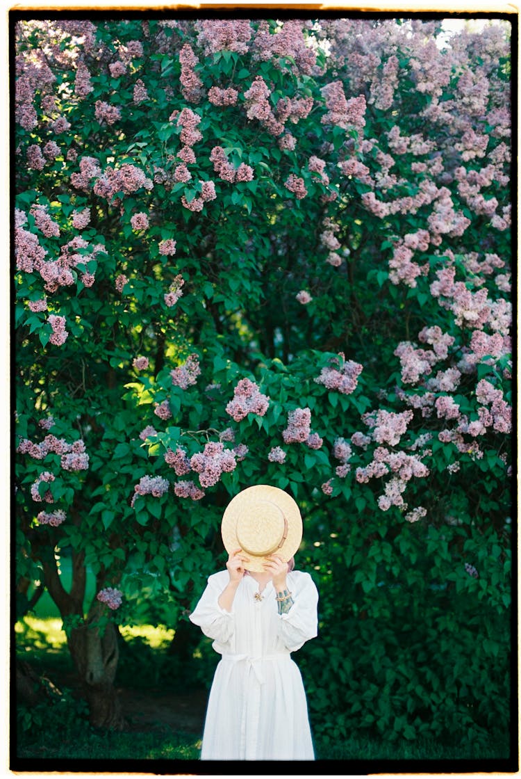 Photograph Of Woman Covering Head With Hat Under Tree