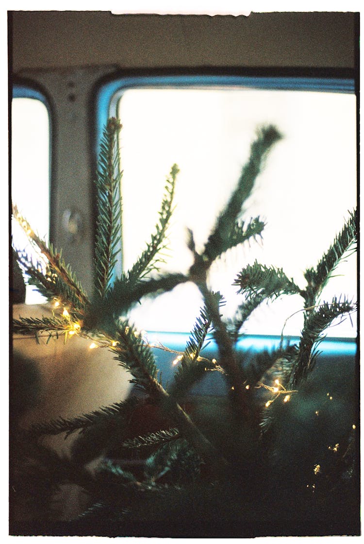 Light On Christmas Tree Inside A Car