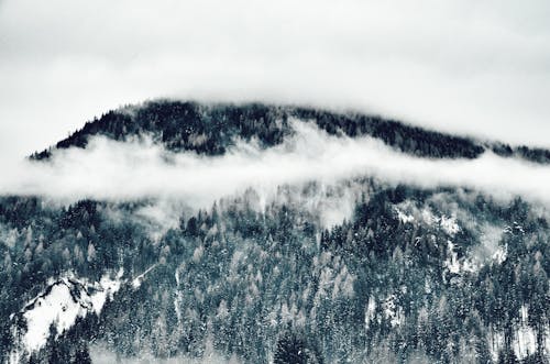 Gratis lagerfoto af bjerg, dis, forkølelse