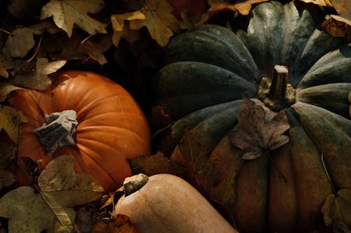 Free A Close-up Shot of a Pumpkins with Dried Leaves Stock Photo