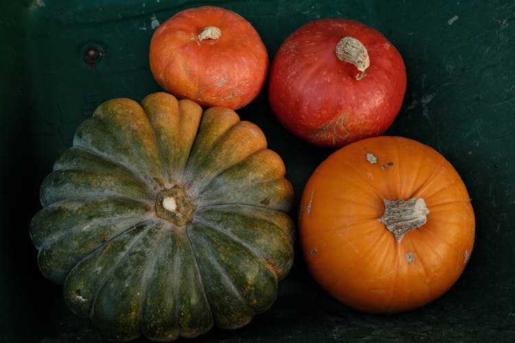 A Pumpkins In Different Sizes