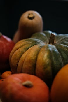A moody close-up of assorted colorful pumpkins and squash, perfect for fall and harvest themes.