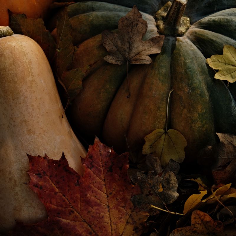 30-Minute Roasted Acorn Squash and Maple Wild Rice