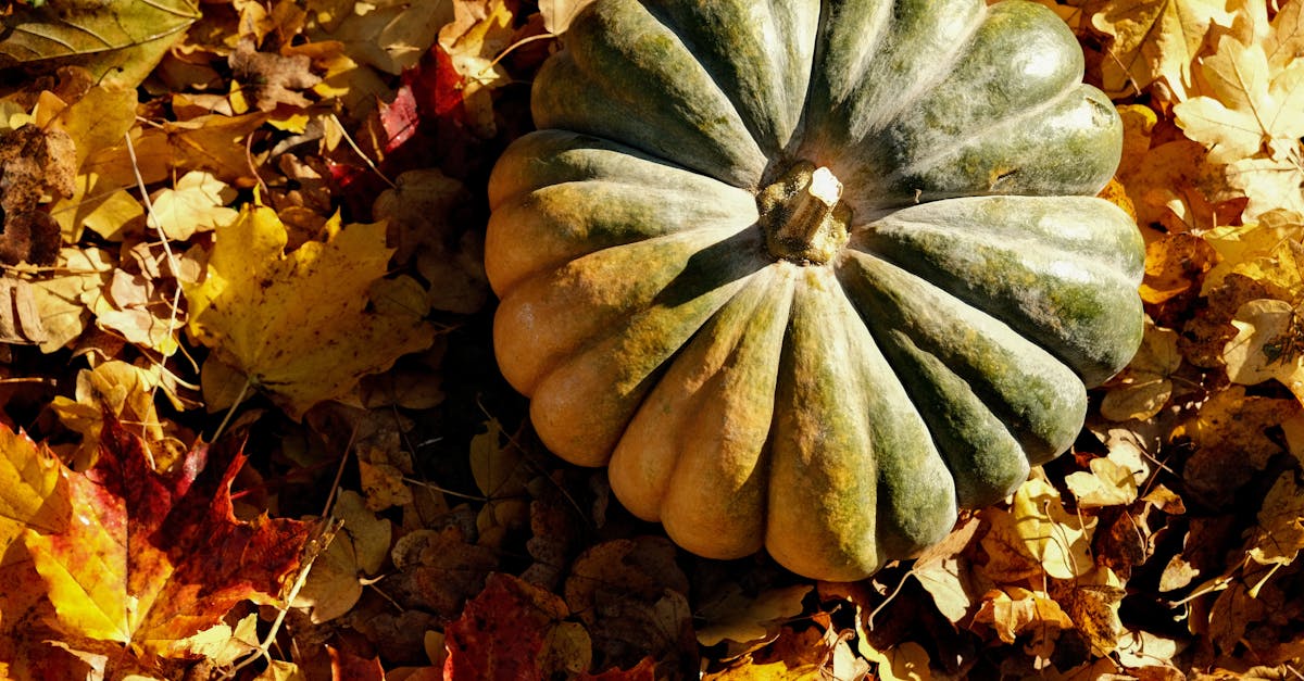 How to make your pumpkin last longer