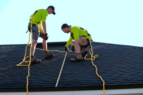 Gratis arkivbilde med solcelleanlegg, solcellepanel, solcellepaneler