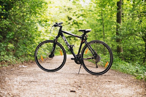 Bicicleta Hardtail Preta E Branca Na Estrada Marrom Entre árvores