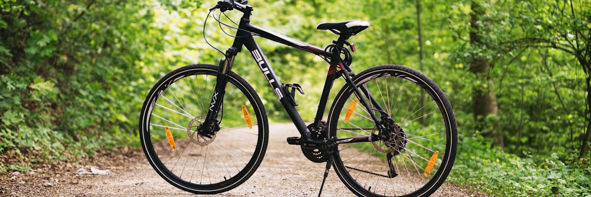 Cycling through Versailles Palace gardens - bike rentals available for exploring the estate