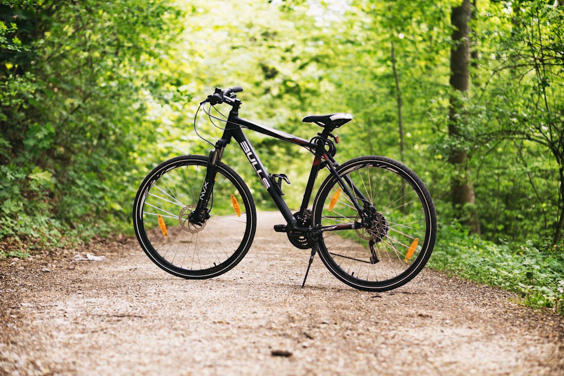免費 樹木之間的棕色路上的黑色和白色硬尾自行車 圖庫相片
