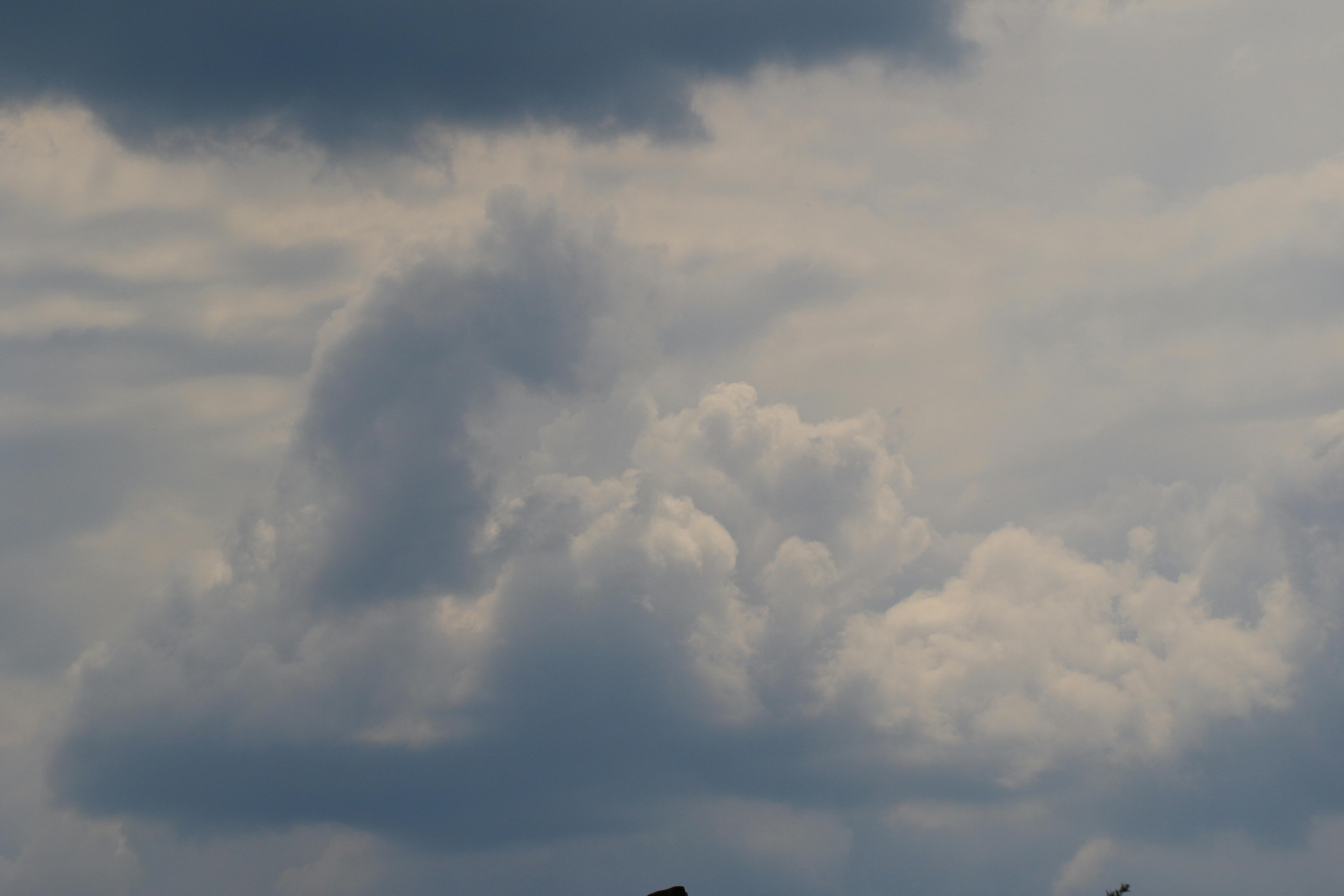 日本街头美食摊位，人们正在品尝小吃