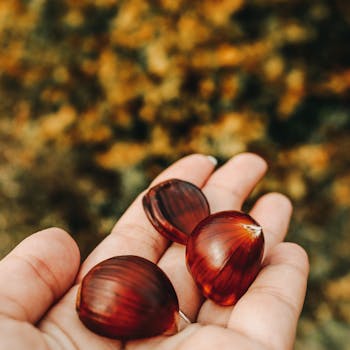 A hand holding shiny chestnuts with a blurred autumn background, showcasing fall harvest.