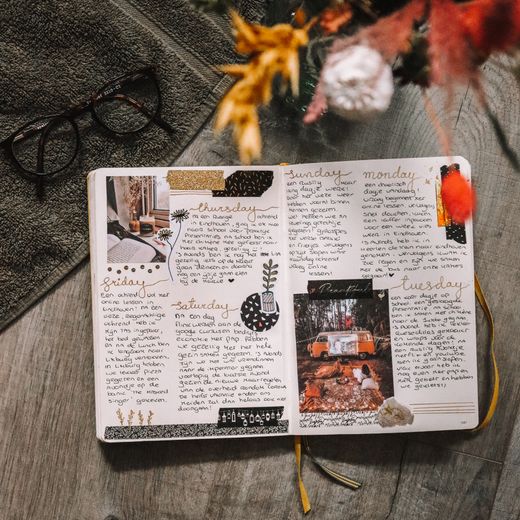 Open handwritten journal with dried flowers — Evi on Pexels