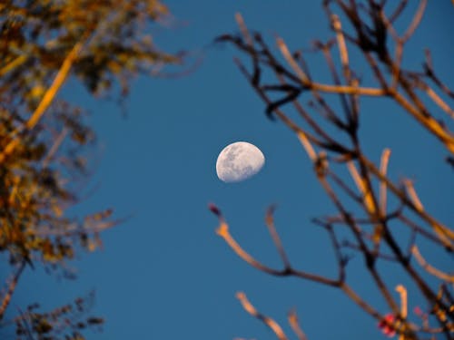 Foto d'estoc gratuïta de brillant, cel blau, fotografia de lluna