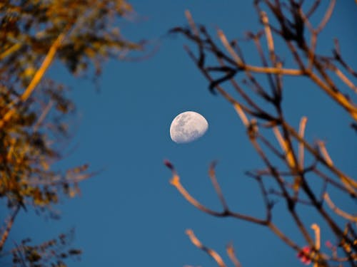 Watch Saturn and the Moon Stroll at Sunset Sept. 8