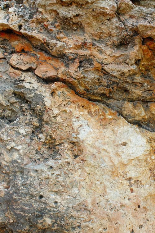 Fall Rocks Up Close Close-up of a Stone · Free Stock Photo