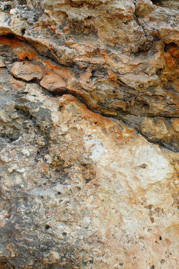 Close-up Of A Stone 