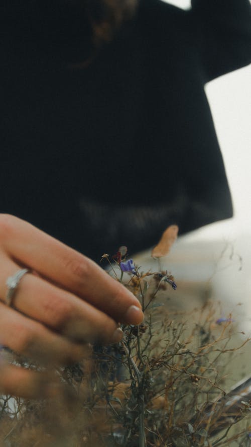 A Person Picking Small Flowers