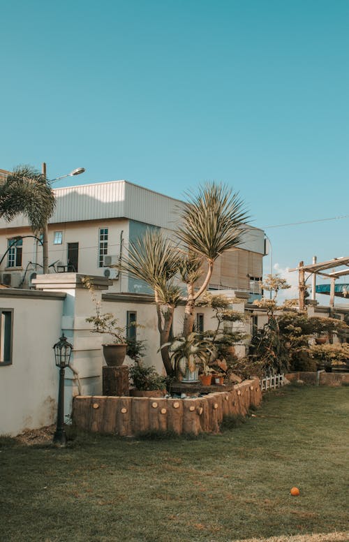 Fotos de stock gratuitas de arboles, arquitectura, casa