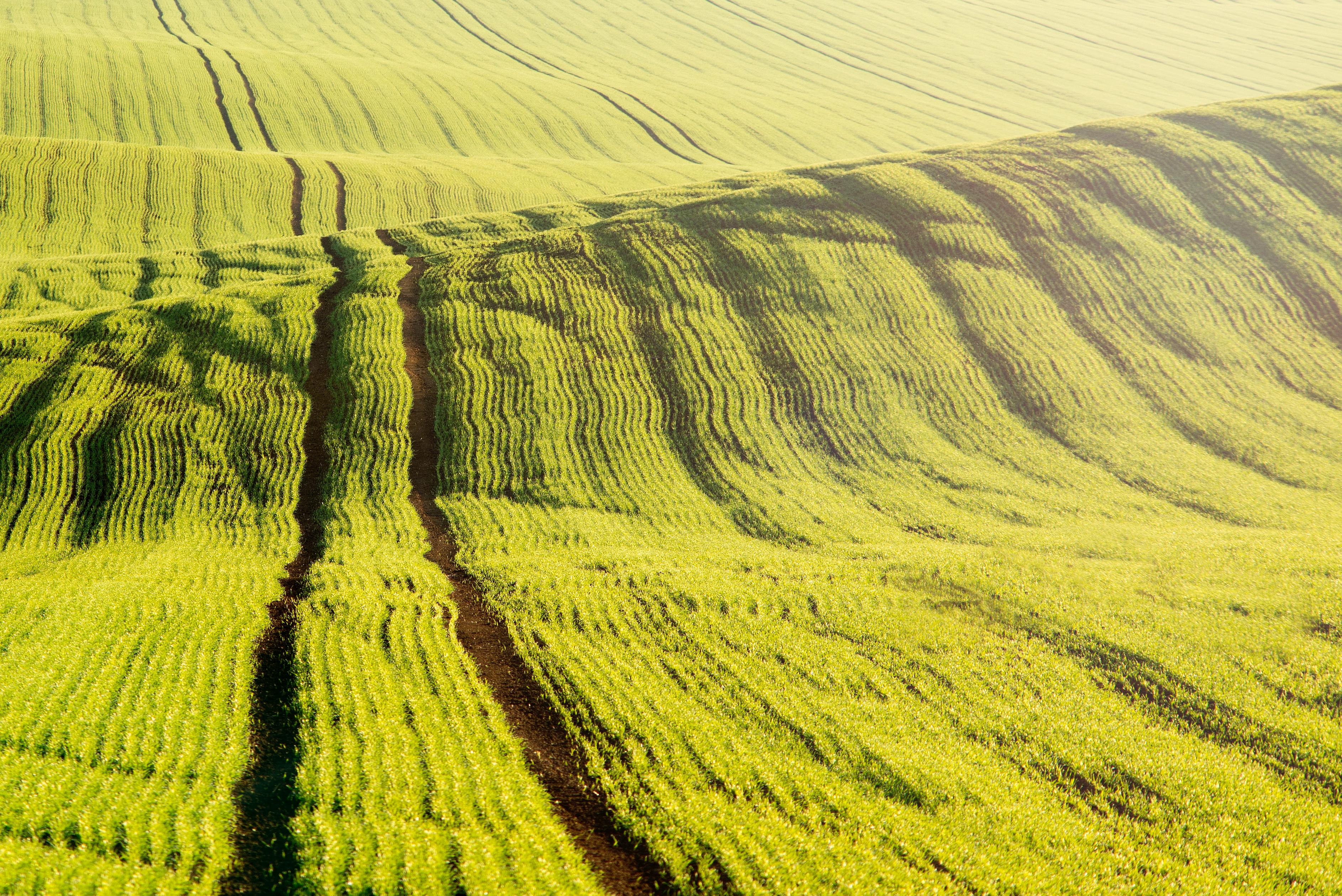 The green mile: charting the bumpy road to sustainable urban mobility — Photo by Vladimír  Sládek on Pexels