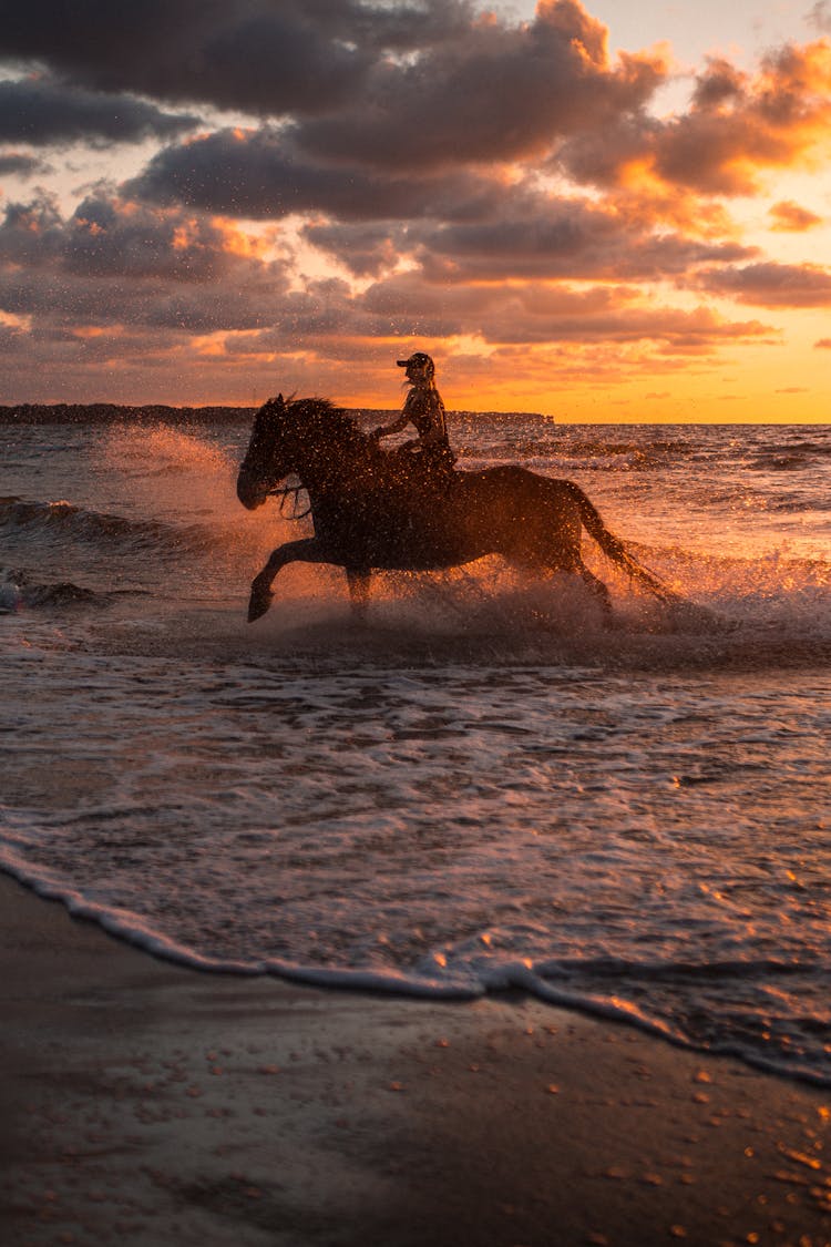 A Woman Riding Horse On Beach During Sunset