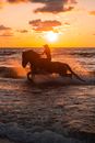 A Woman Riding a Horse on the Beach