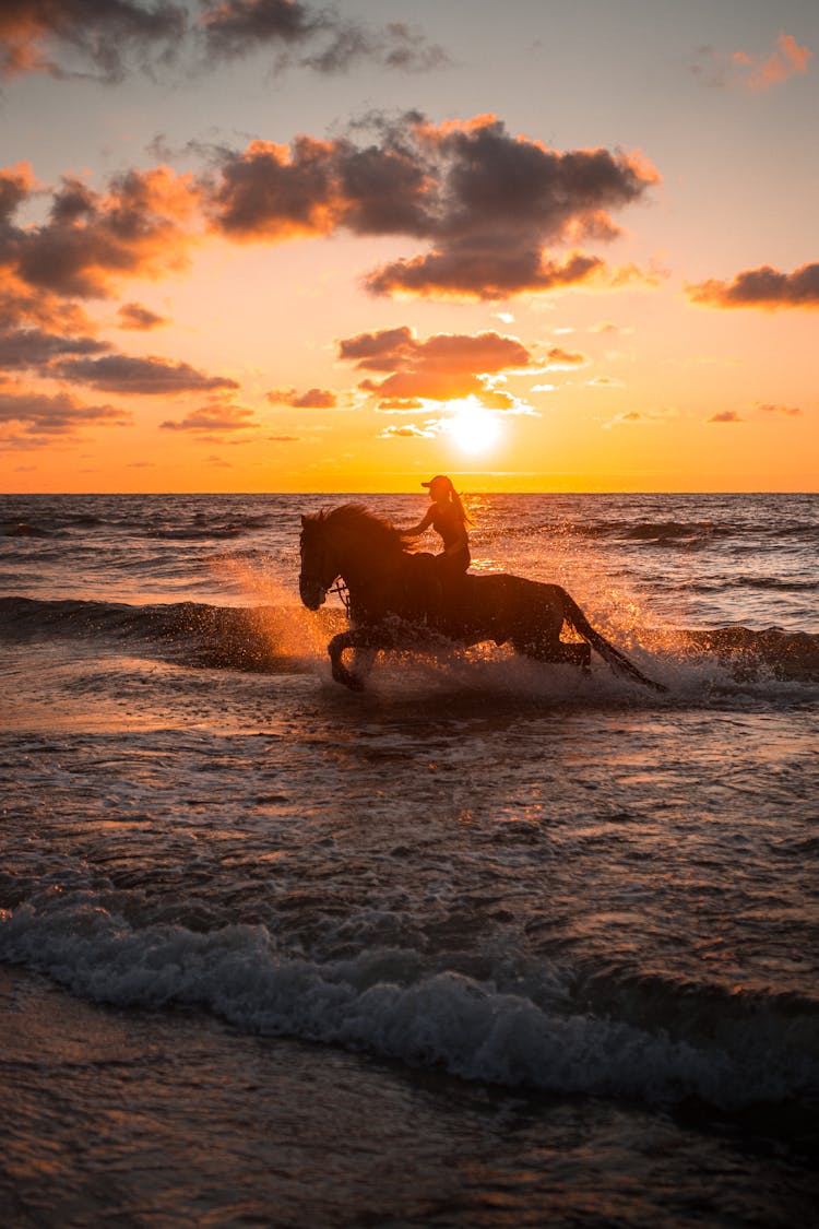 A Person Riding A Horse On The Beach