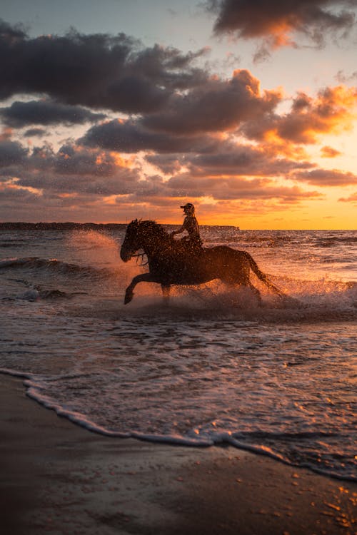 A Person Riding a Horse on the Beach
