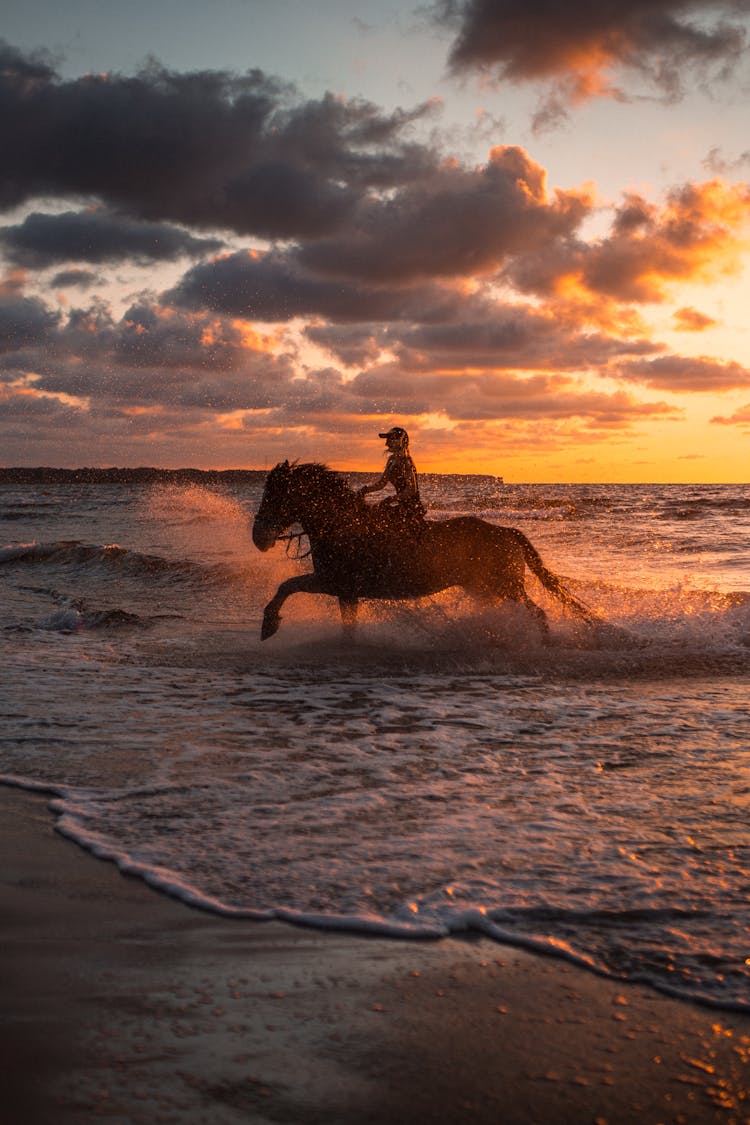 A Person Riding A Horse On The Beach