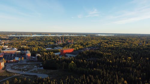 Immagine gratuita di alberi, città, edifici