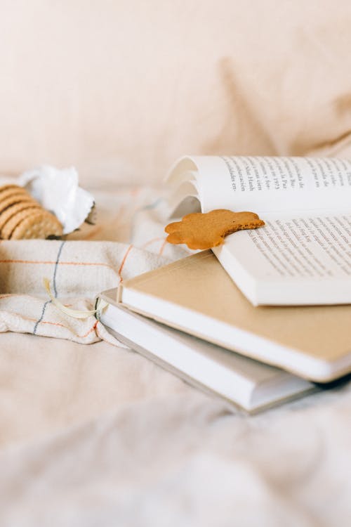 Free Bitten Biscuit on a Book Stock Photo