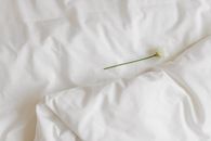 Flower on White Textile
