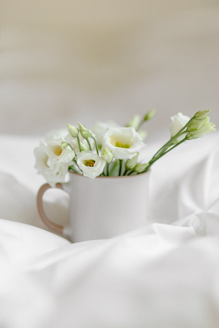 A Cluster Of White Flowers With Buds In A Mug