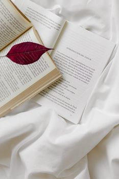 A serene flat lay image of open books on white fabric with a red leaf, capturing a minimalist vibe.