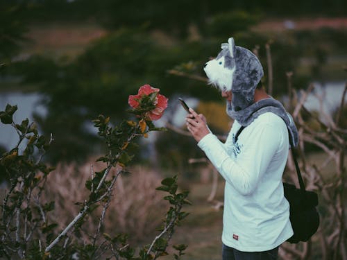 Pembe Hibiscus çiçek Fotoğrafını çekerek Gri Kurt Yaratık şapkası Giyen Adam
