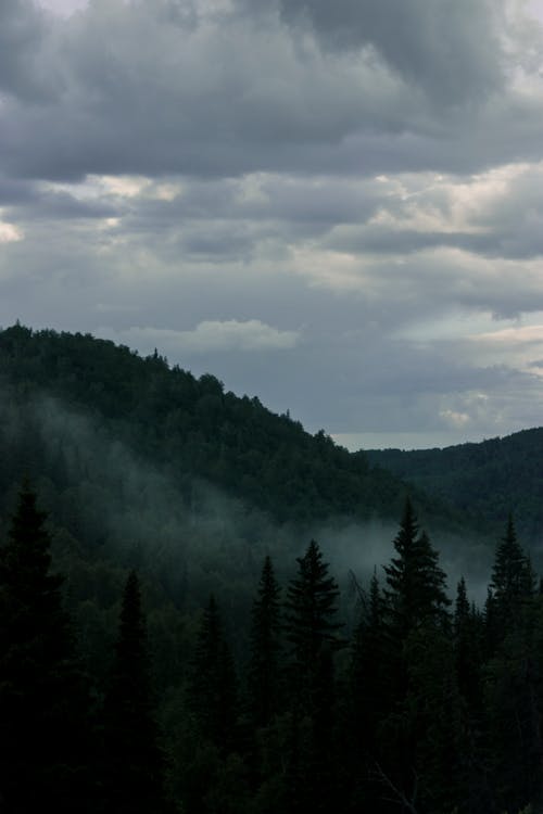 Free Green Trees on Mountain Under Cloudy Sky Stock Photo