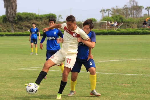 Action-packed soccer match with players vying for control on a lush green field.