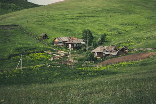 山丘, 房子, 木 的 免费素材图片