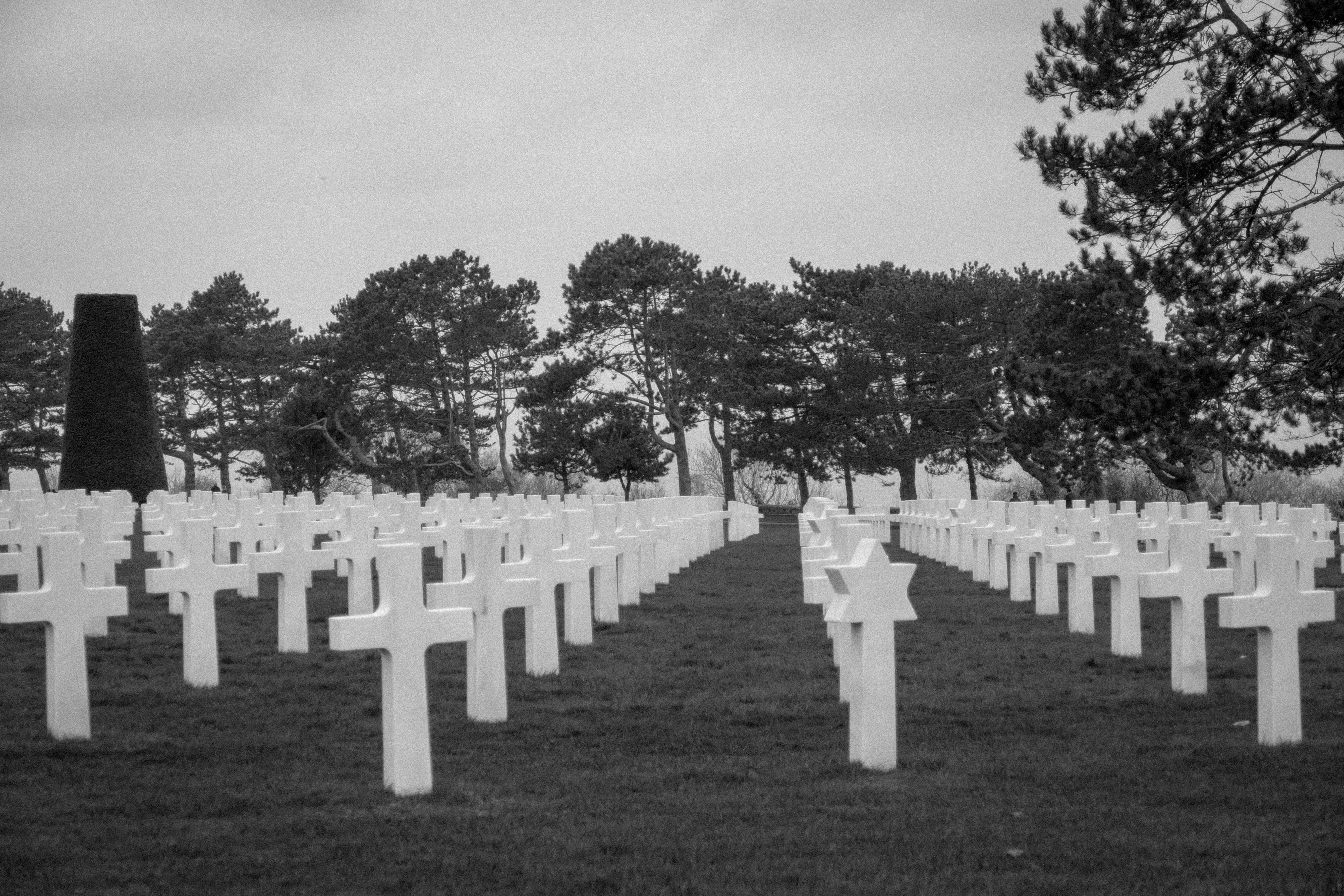 Free stock photo of dead, normandy