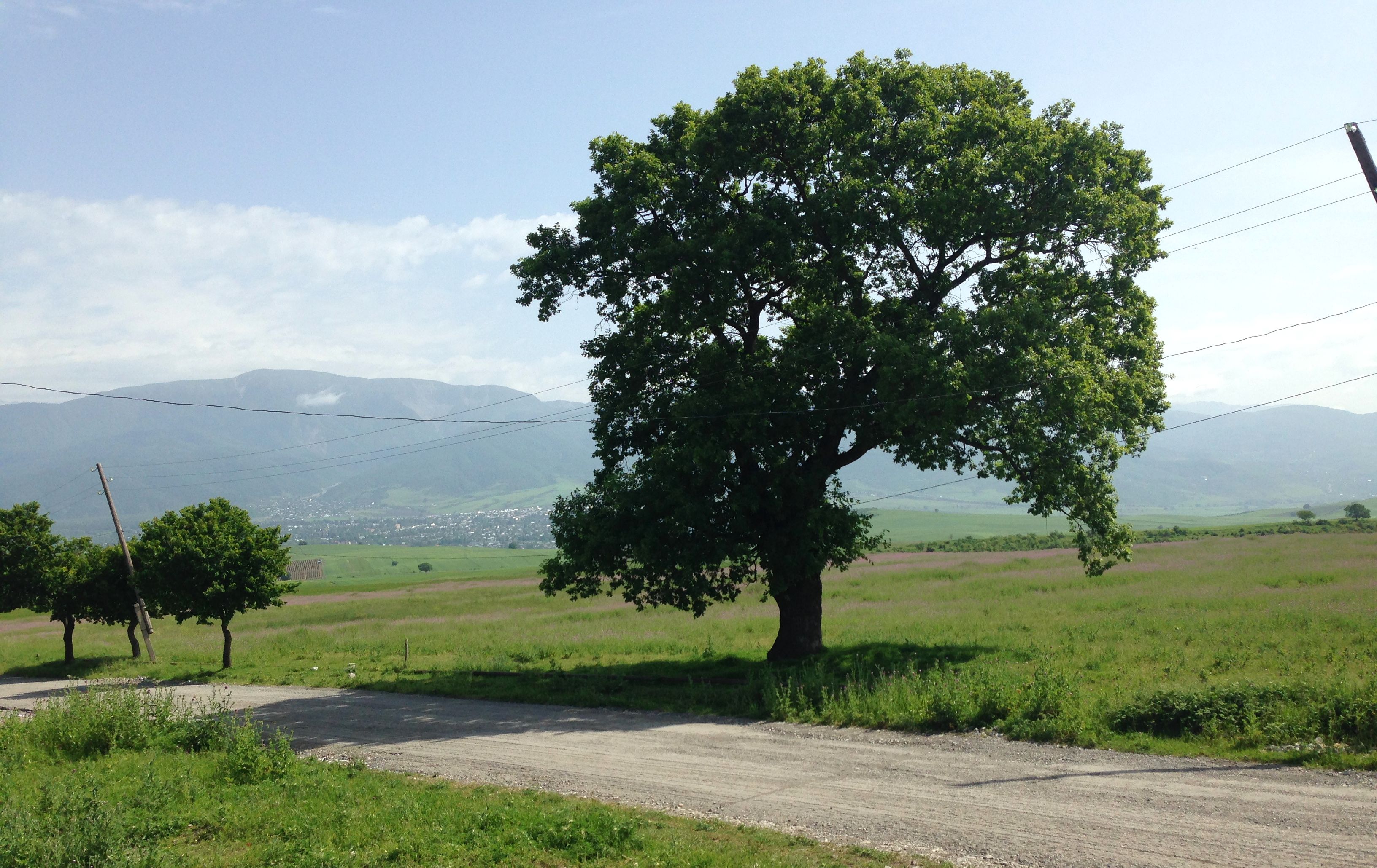 Free Stock Photo Of Azerbaijan Ismayilli