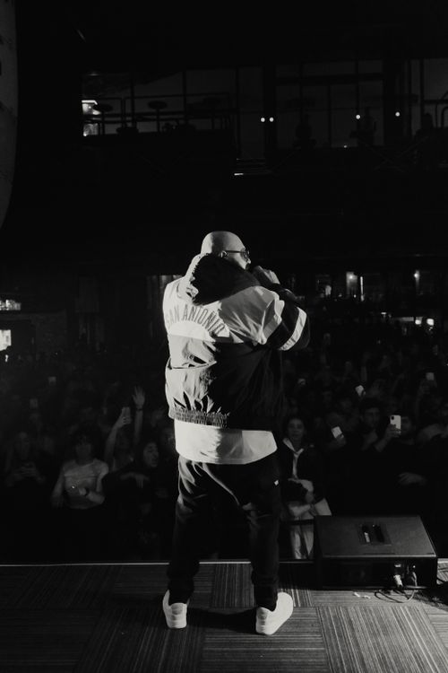 Male Rapper Performing in Front of a Crowd · Free Stock Photo