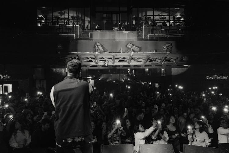 Musician And Audience At Concert