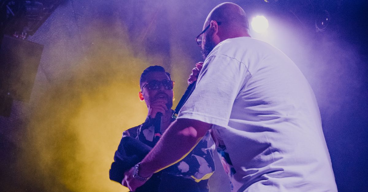 Two Male Singers Performing During a Concert · Free Stock Photo