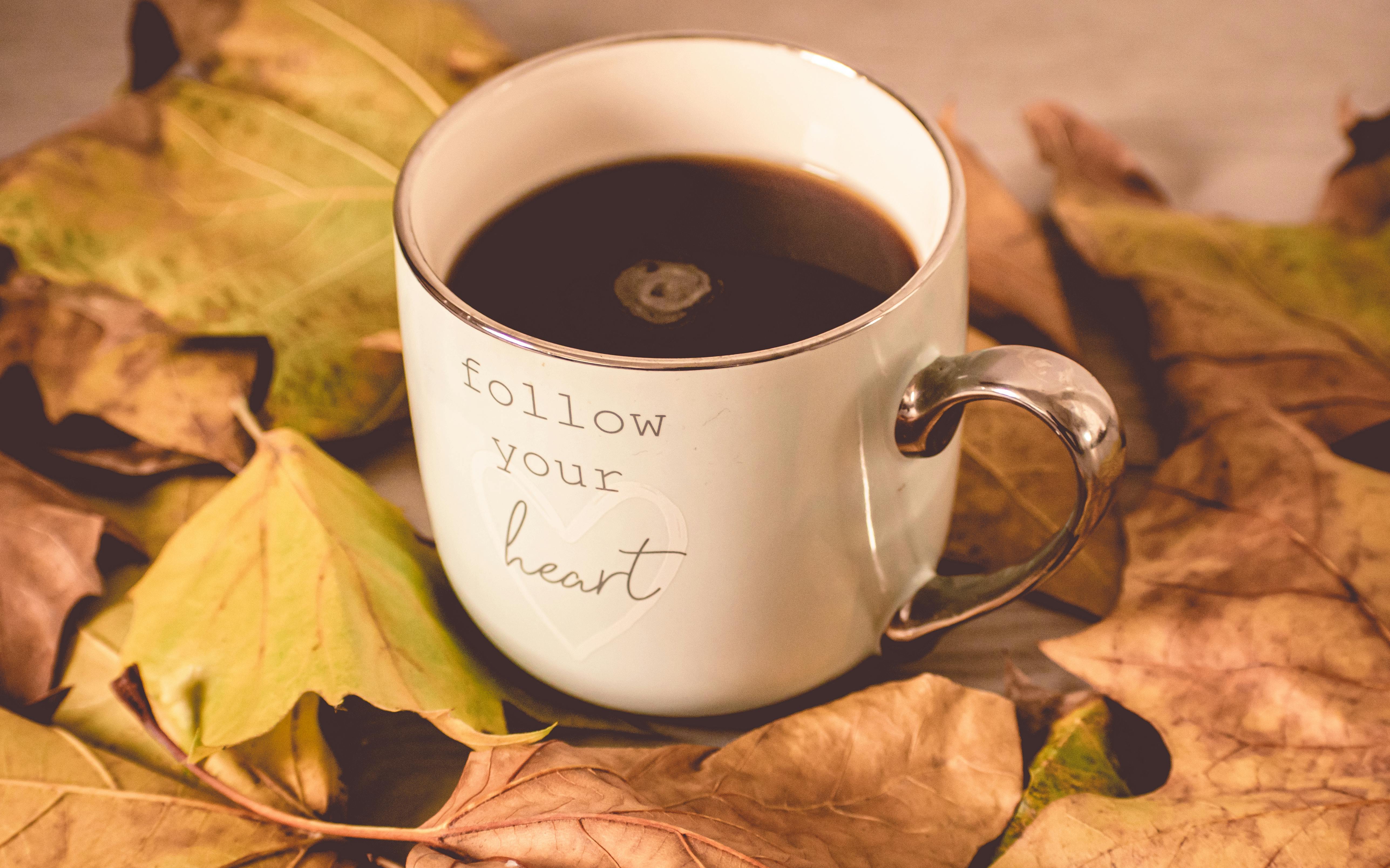A warm mug of coffee surrounded by autumn leaves with motivational text.