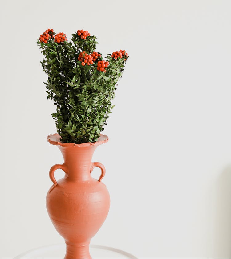 Rowan In Vase