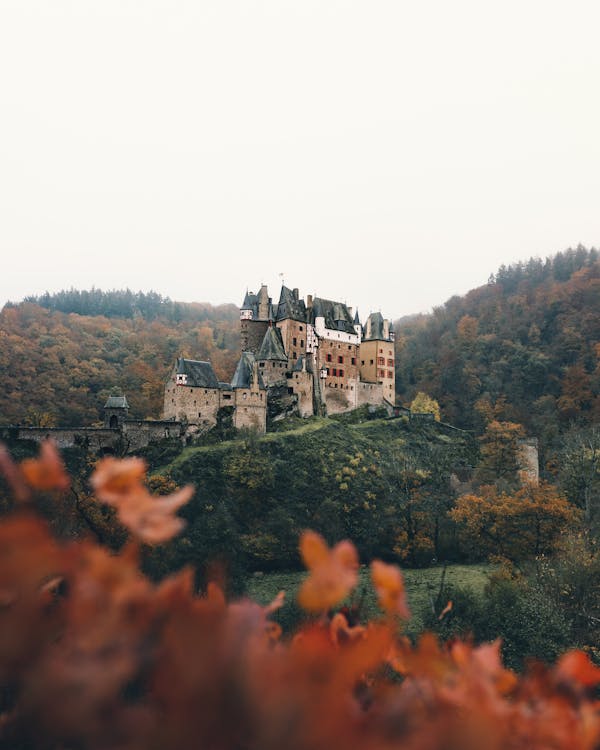 Exploring the Castle