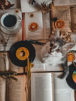Adorable kitten sitting on open books with vintage records, dried flowers, and a cup of tea.