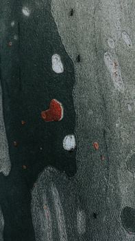 Close-up of an abstract textured surface with various colors and natural patterns.