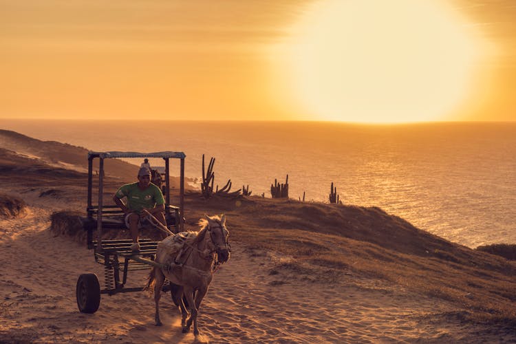 Man Riding On A Horse Pulling Cart During Sunset