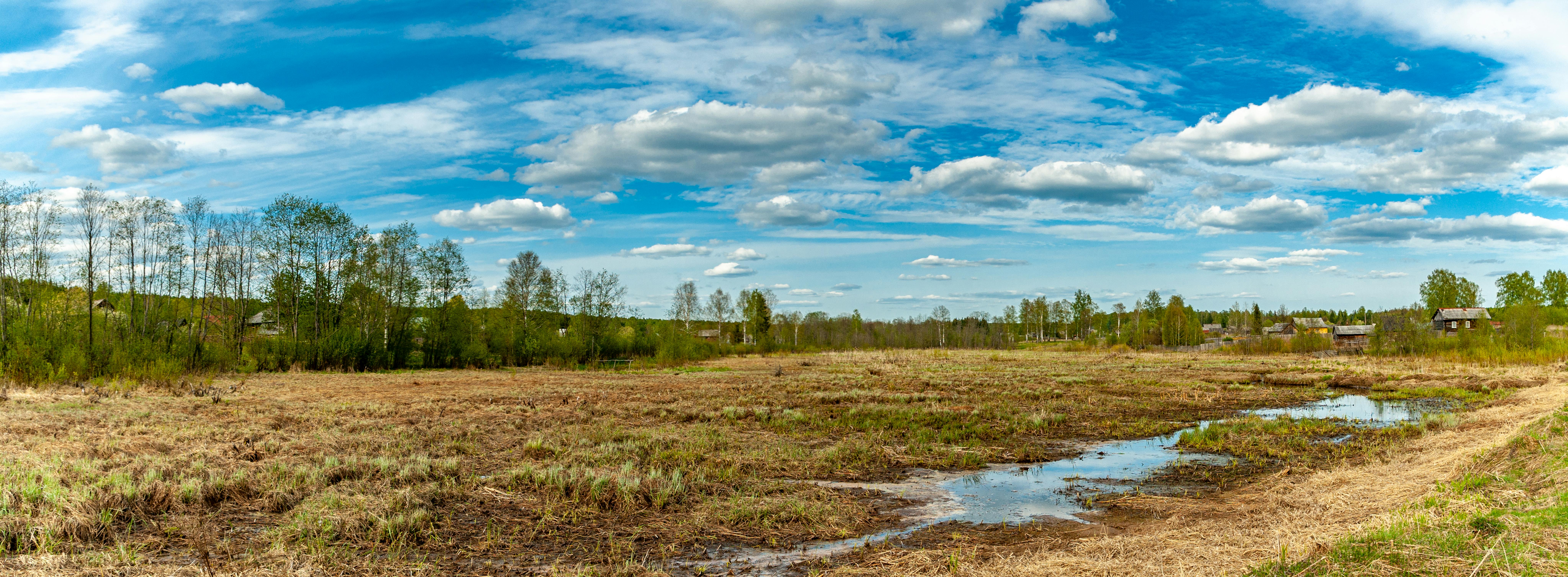 A set of colorful polyhedral dice used for Dungeons & Dragons, scattered on a fantasy world map.
