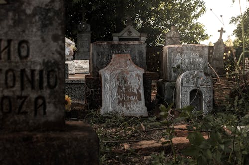 Free Gray Gravestones in an Old Cemetery Stock Photo